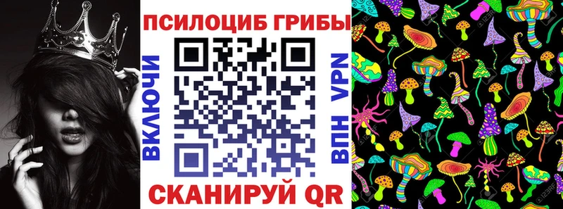 Псилоцибиновые грибы Magic Shrooms Пучеж