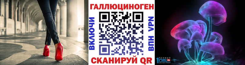 Псилоцибиновые грибы GOLDEN TEACHER  Пучеж 